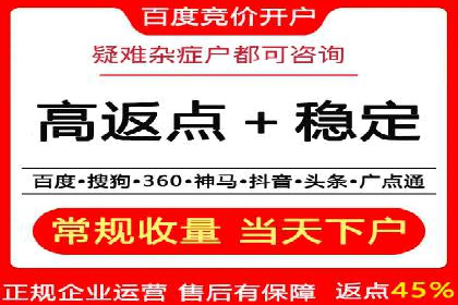 竞价端口开户后的广告投放策略案例